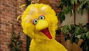 Big Bird